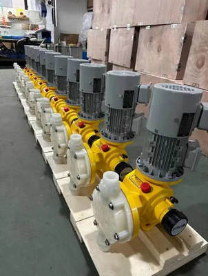 Industrial Water Treatment Dosing Pump/Dosing Screw Pump