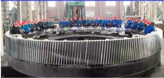 Ball-Mühlgurt-Gang-und Rod Mill Girth Gear And-AG Mühlgurt-Gang-und Senkungs-Mühlgurt-Gang