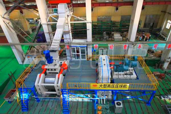 Kalte/heiße Metallurgie-Maschinen-und Ball-Presse-Maschine der Brikett-Maschinen-100TPH